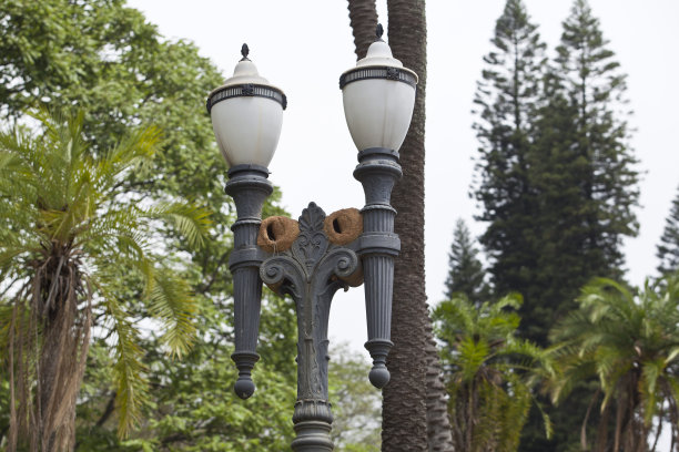 Clay-john巢图片下载