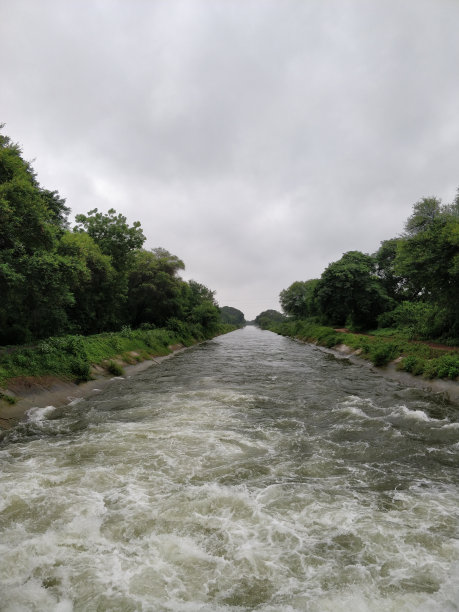 森林中的河流图片下载
