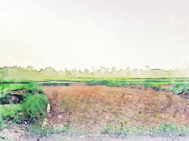 抽象彩色形状上的树和田野风景水彩插图绘画背景。图片下载