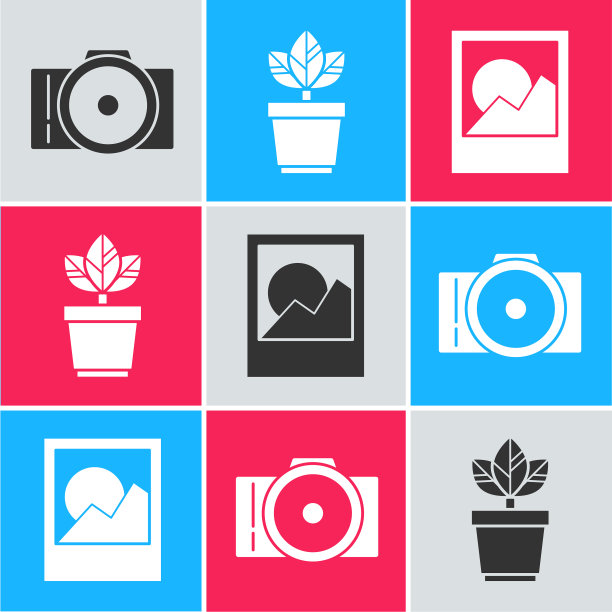 在花盆和相框中放置相机花图片下载