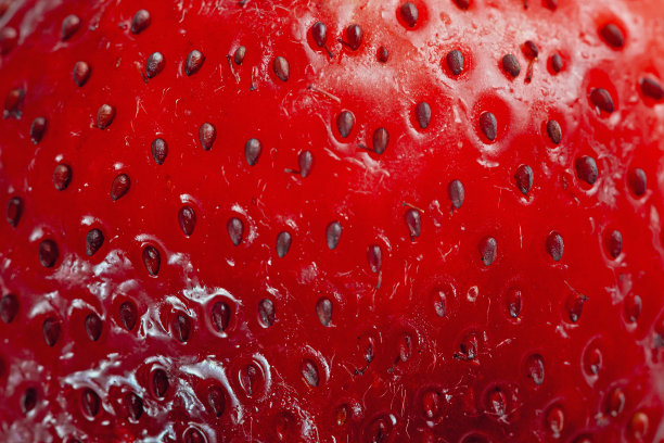 鲜红多汁的草莓特写背景图片下载