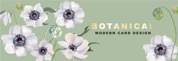 银莲花现实花卉头2020水彩画图片下载