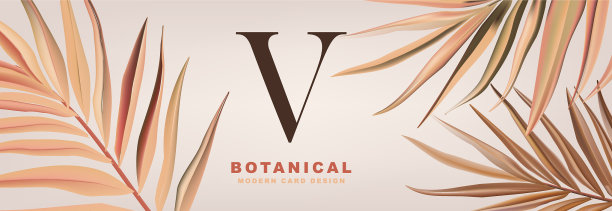 柔和的棕叶米色与标志设计图片下载