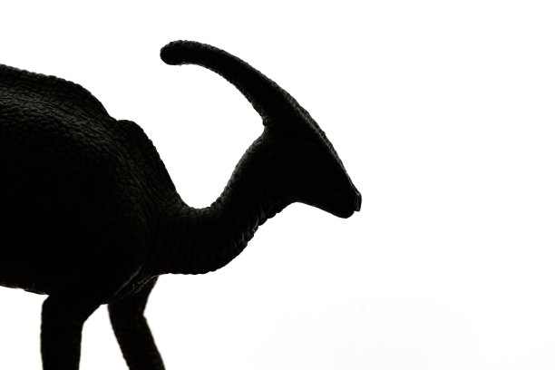 Dinosaur-Parasaurolophus轮廓图片下载