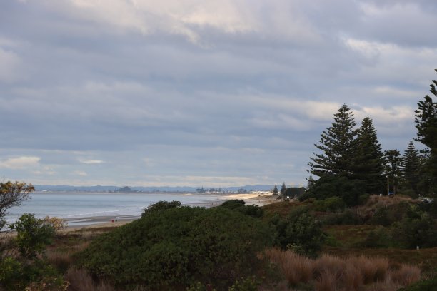 下午晚些时候，托兰加海岸图片下载