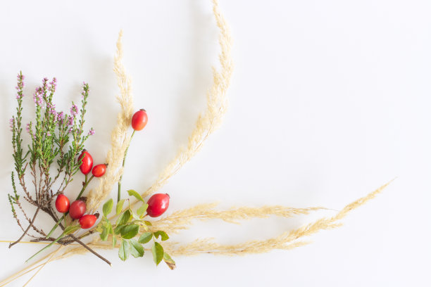 风格的库存图片。秋色阴柔，花香构图。装饰横幅，角落用美丽的玫瑰果、石南草和干草制成。白色背景。平躺，俯视图。图片下载