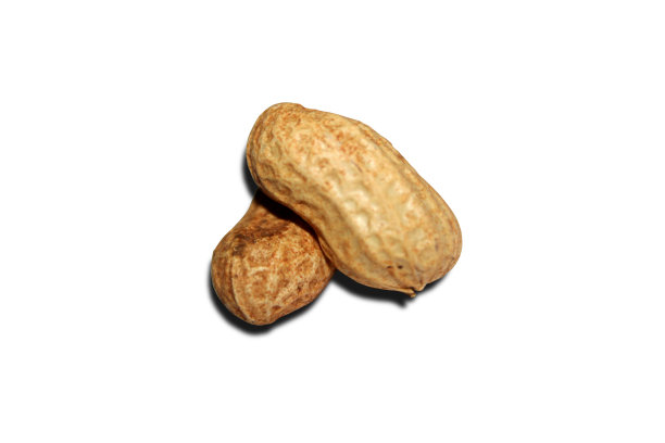 带壳的未剥皮花生。图片下载