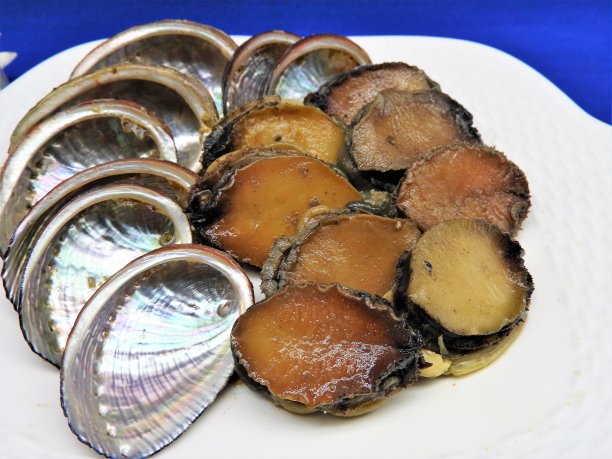 贝类tokobushi图片下载