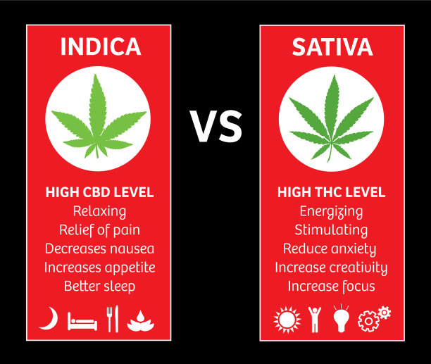 印度大麻和亚麻品系种图片下载