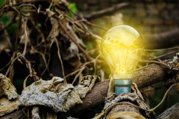 发光的灯泡图片下载