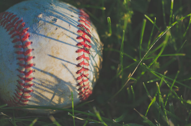 草地上的棒球图片下载