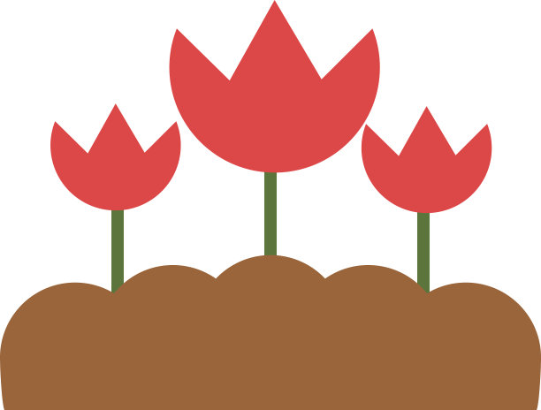 白色背景上的花图片下载