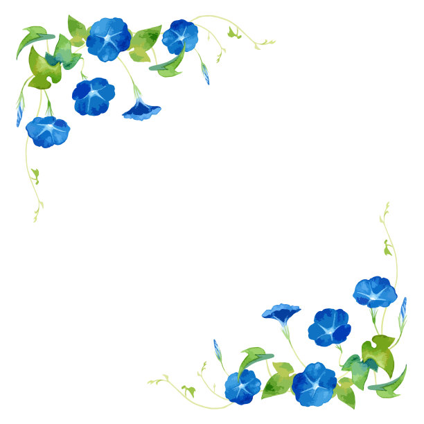 一个向量框架牵牛花(asagao)花图片下载