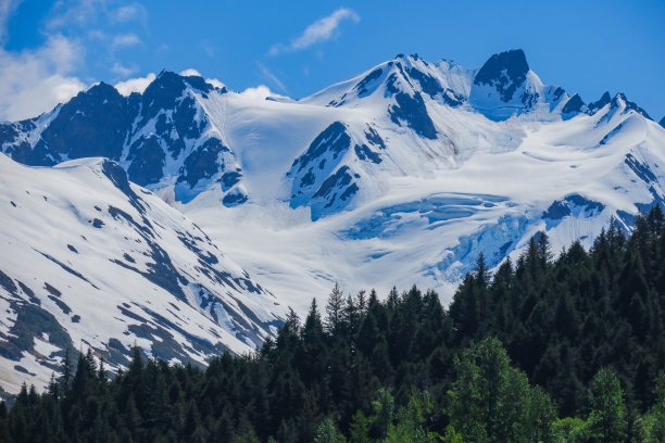 山上林木线图片下载