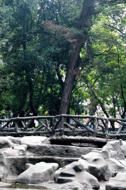 拉丁夫妇会议与8岁的女孩在公园的植被图片下载