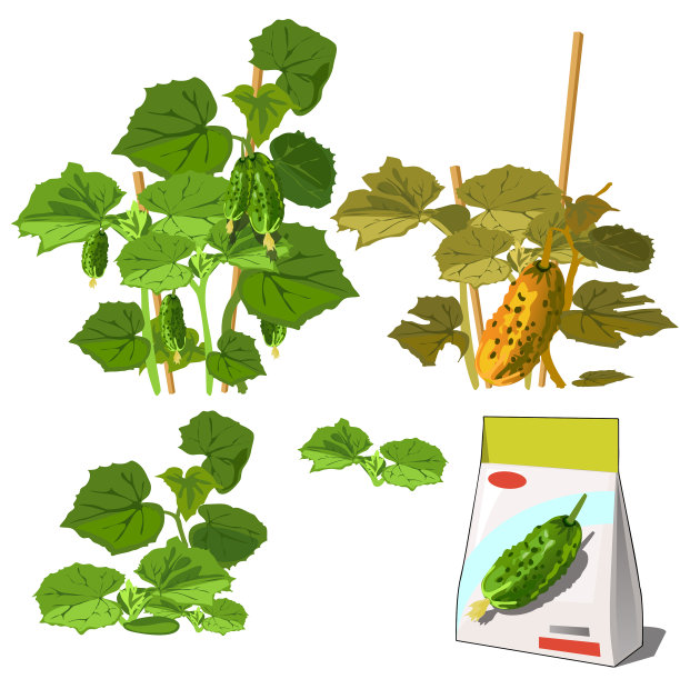 一株农用植物图片下载