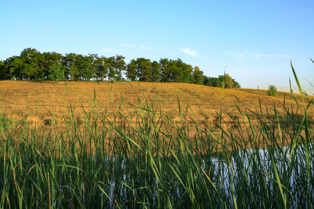 夏天高原上的一条美丽的河流。湖在一个生态干净的公园保护区，在山的背景。春天的美景。设计素材照片图片下载