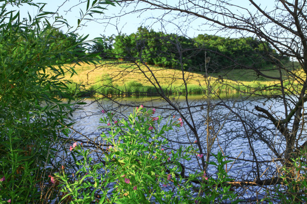 夏天高原上的一条美丽的河流。湖在一个生态干净的公园保护区，在山的背景。春天的美景。设计素材照片图片下载