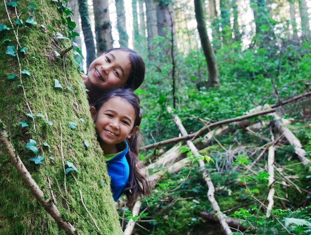 两个女孩在树林里徒步旅行时躲在一棵树后面图片下载