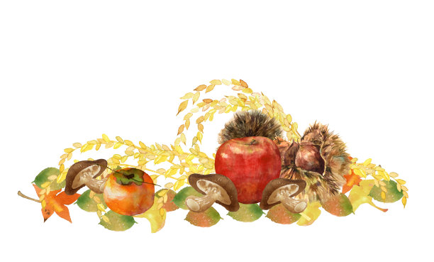 水彩秋天的食物图片下载