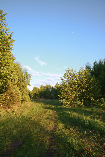 美丽的夏季风景自然乡村。绿草如茵，绿树成荫。设计素材照片图片下载