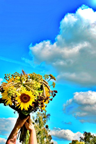 鸵鸟在你的手中图片下载