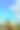 Sonnenblumenstrauß图片下载