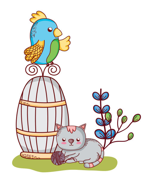 可爱的动物鹦鹉对猫与球的天性图片下载