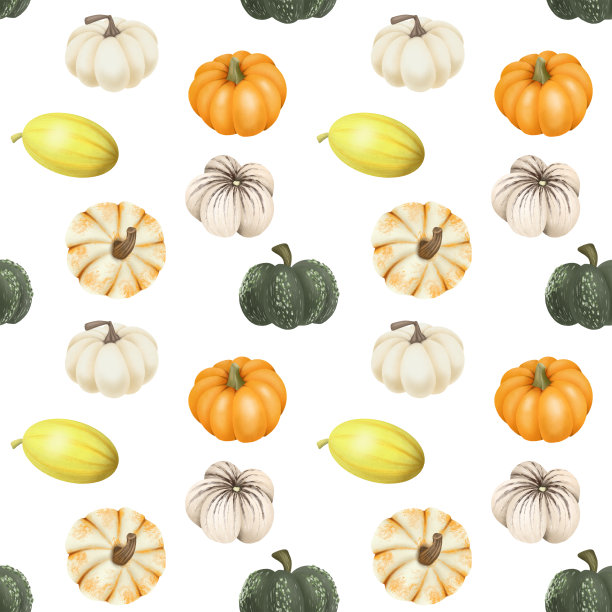 无缝模式手绘不同品种的南瓜在一个白色的背景图片下载