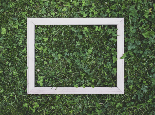 白色的木框在绿草的背景上图片下载