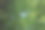 亚麻亚麻蓝花。亚麻植物。亚麻。图片下载