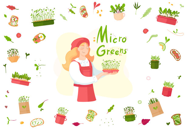 Microgreen。这个女孩长出嫩绿色的芽。秧苗和盆栽植物图片下载