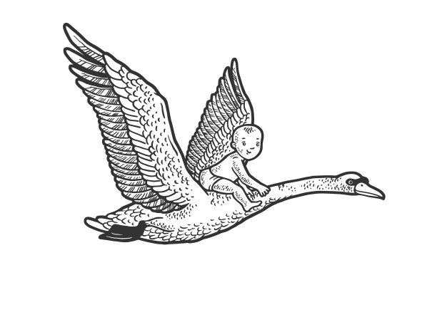 baflying天鹅草图图片下载