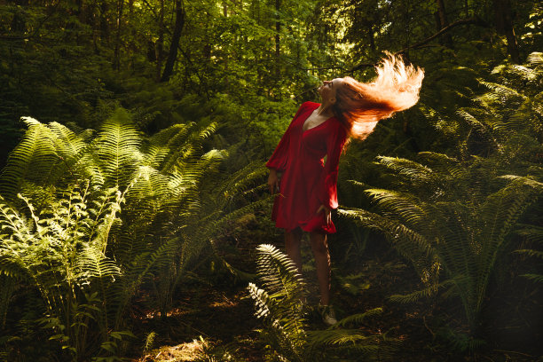 蕨类森林里的年轻女子。图片下载