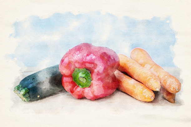 胡萝卜，红甜椒和小胡瓜的水彩画图片下载