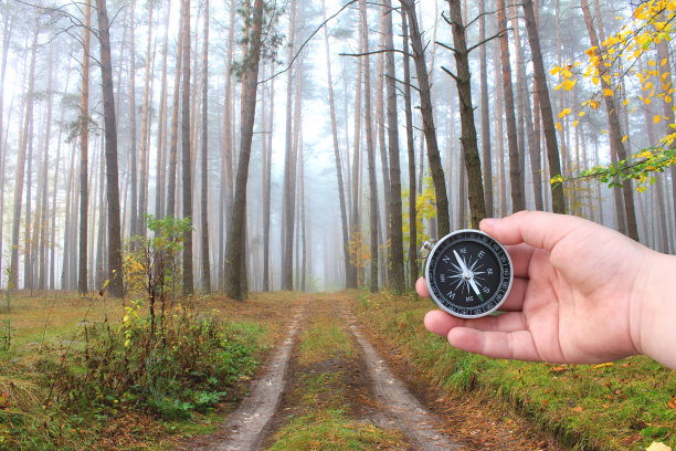 指南针在手以秋松林为背景作为旅游用指南针的象征，旅行用指南针，户外活动用指南针在秋天图片下载