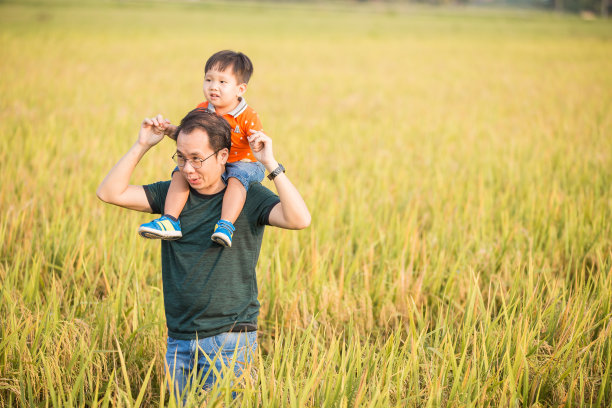 一位亚洲华人父亲让他的儿子肩并肩在稻田里度过闲暇时光图片下载