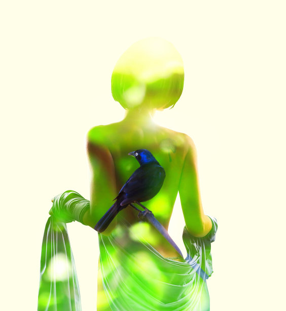 女人和白头翁的多次曝光图片下载