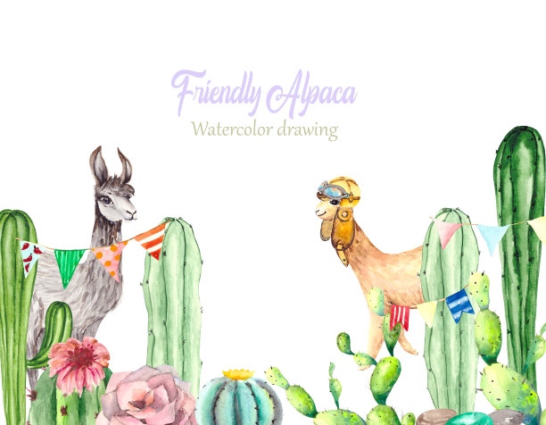 节日贺卡，绿色的仙人掌，粉红色的花和有趣的羊驼在一个飞行的帽子，文字空间在白色的背景。节日插图的问候，海报，邀请和儿童书籍。图片下载