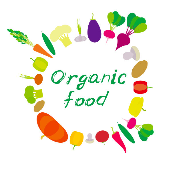 有机食品蔬菜灯笼椒、南瓜、甜菜、胡萝卜、茄子、红辣椒、花椰菜、西兰花、土豆、蘑菇、黄瓜、洋葱、大蒜、番茄、白萝卜孤立。向量图片下载