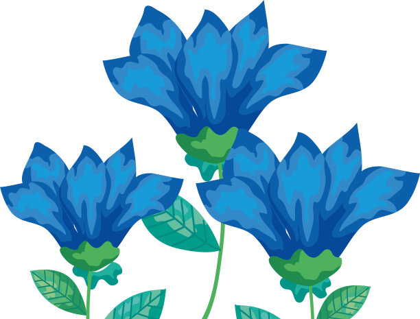 可爱的花朵蓝色，枝叶孤立图片下载