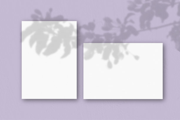 在淡紫色的墙上贴着两张白色纹理纸。模型覆盖的植物阴影。自然光在外来植物上投下阴影。平躺，俯视图。水平方向图片下载