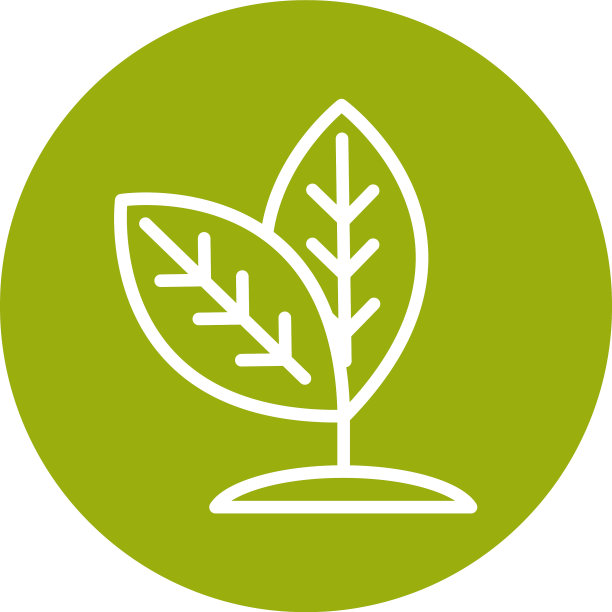 植物叶子与可持续能源图片下载