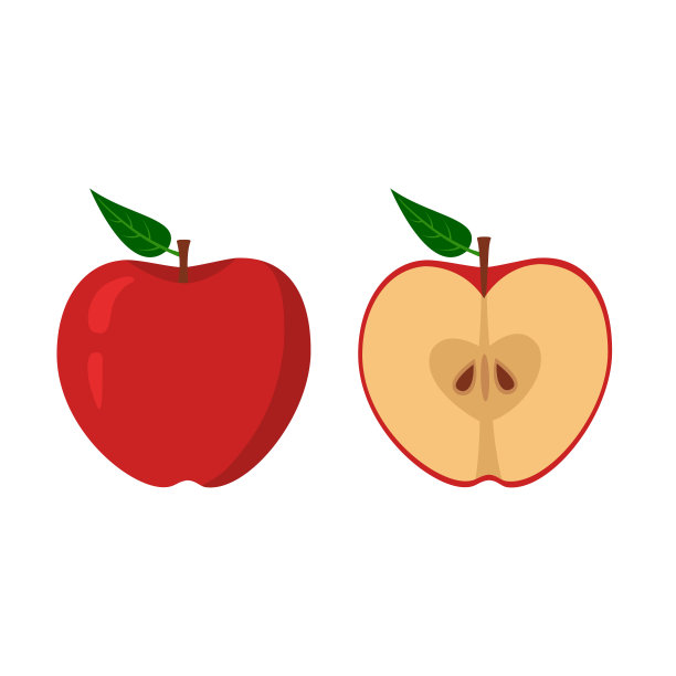 有一片叶子的红苹果，整株和半株。果实孤立在白色背景上。股票矢量插图。图片下载