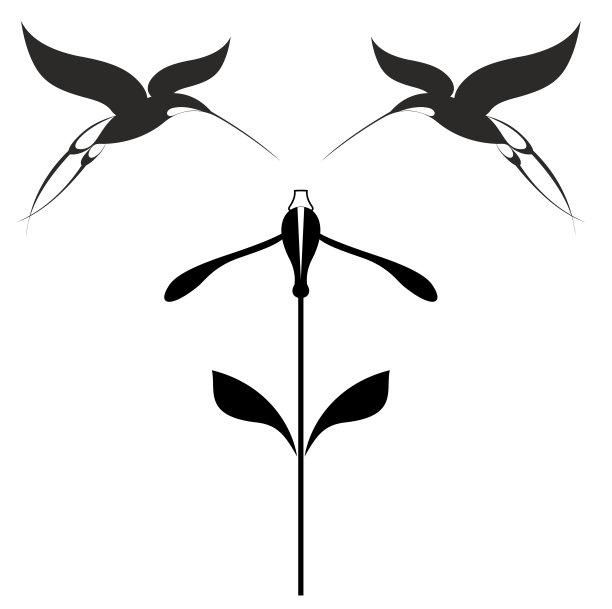 鸟和花黑白插图图片下载