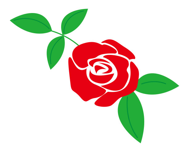 漂亮的玫瑰花矢量插画图片下载