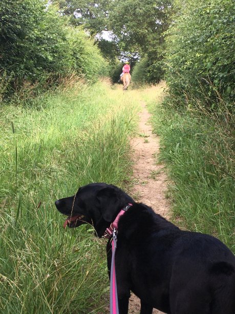 今天早上散步很愉快图片下载