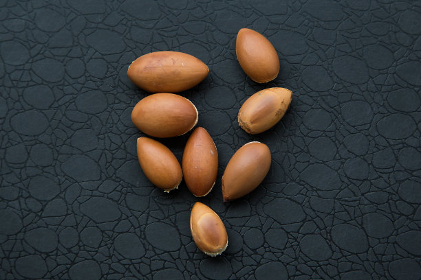 黑色背景上的坚果，特写图片下载