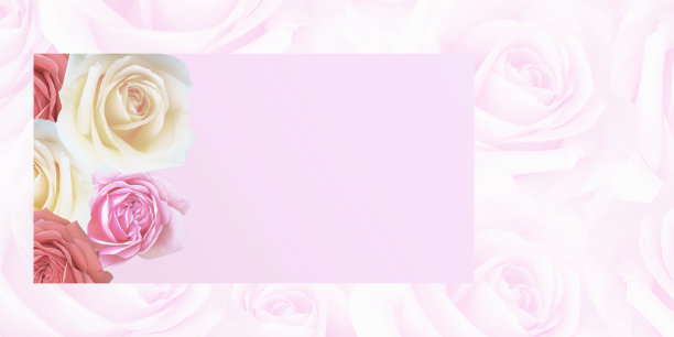 甜蜜的粉色玫瑰图像背景与美丽和多彩的情人节玫瑰可爱的卡片为爱的婚礼信息和邀请。图片下载