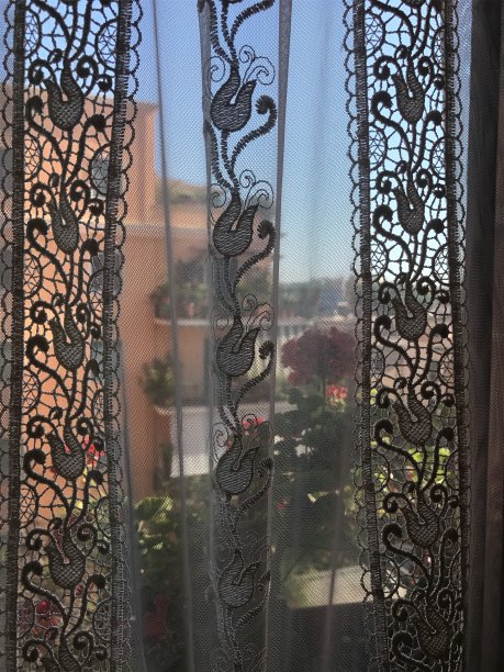 以红色花朵为背景的花边窗帘图片下载